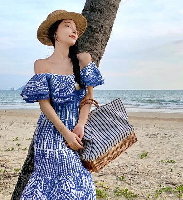 Chic Niche Dress with French Embroidery Details