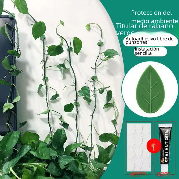 Wall-Mounted Hooks for Climbing Plants and Vines