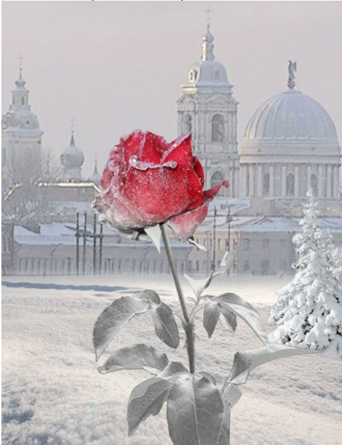Diamond Embroidery and Cross Stitch Art Supplies