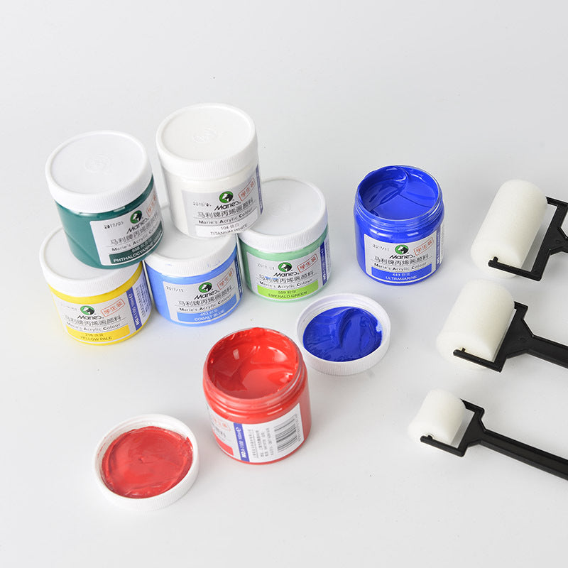 DIY Painting Tool Kit with Roller Brushes and Paint Set