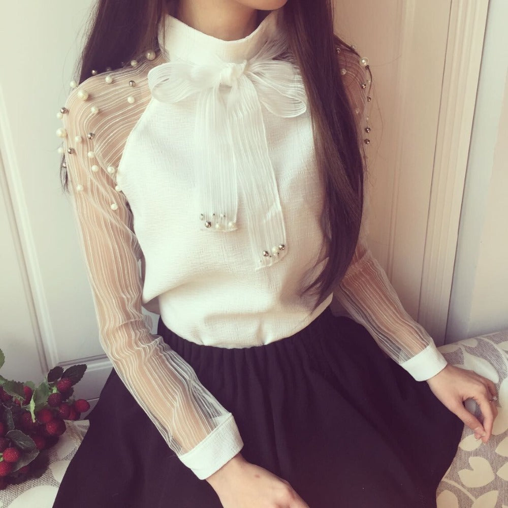Elegant Casual Chiffon Blouse in Transparent Yarn