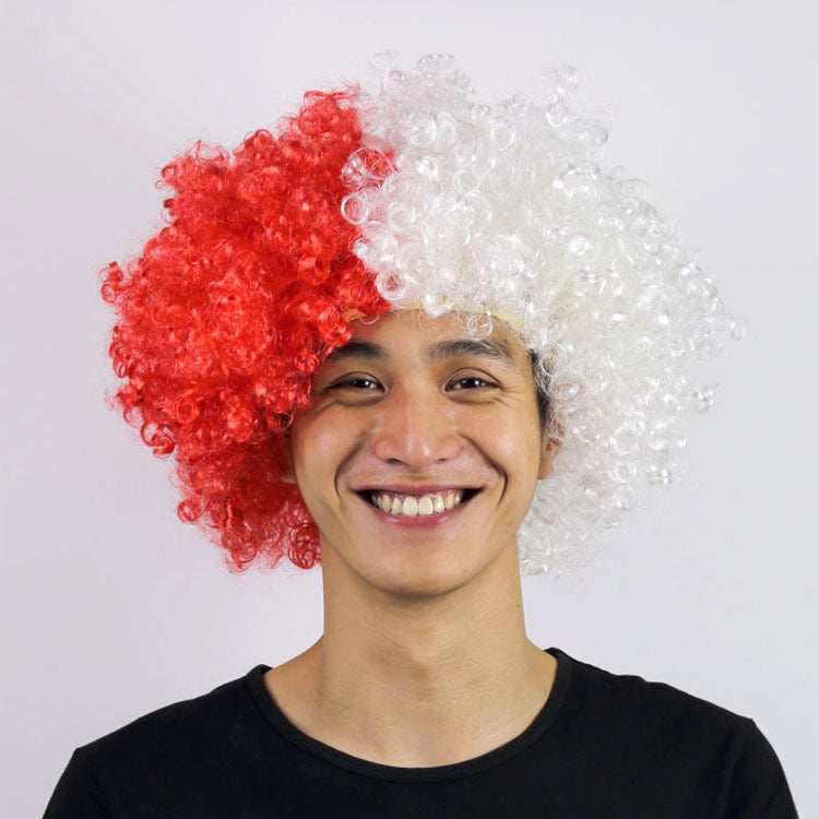 European Cup World Cup Flag Color Wig for Parties