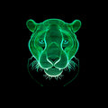 3D Touch Control Lion Head Night Light Lamp