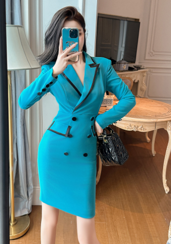 Professional Women's Double-Breasted Sheath Dress